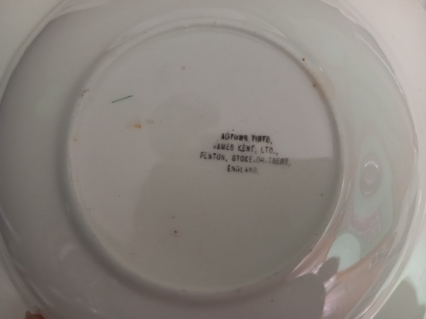 Art Deco James Kent Autumn Tints Large Serving Bowl