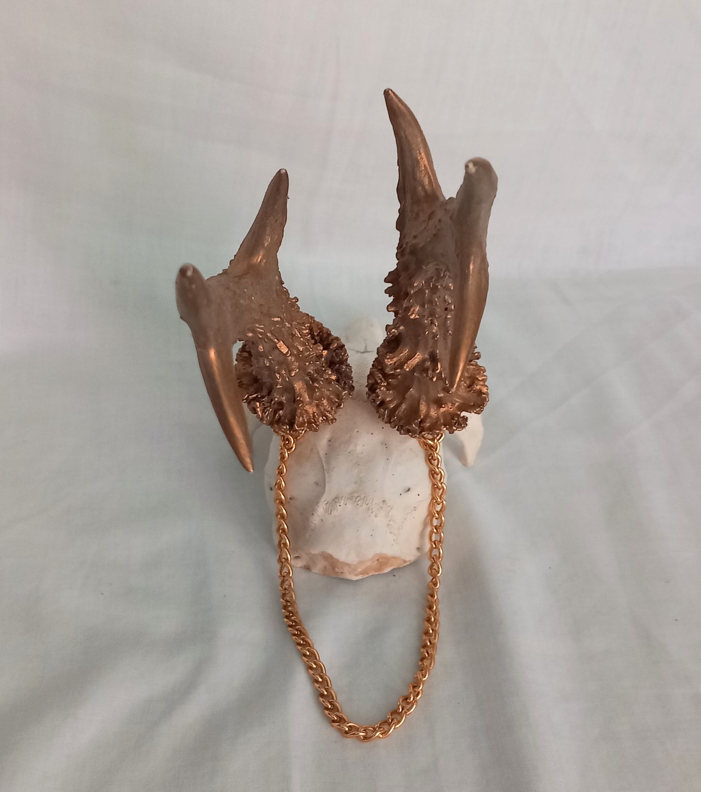 Vintage Roe deer skull cap with gold painted 3 point antlers and hanging chain
