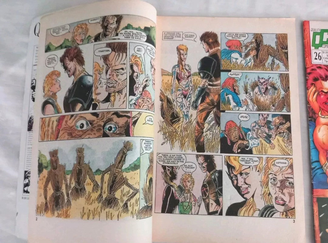 Slaine the Berserker #20 and 26 QC Comics