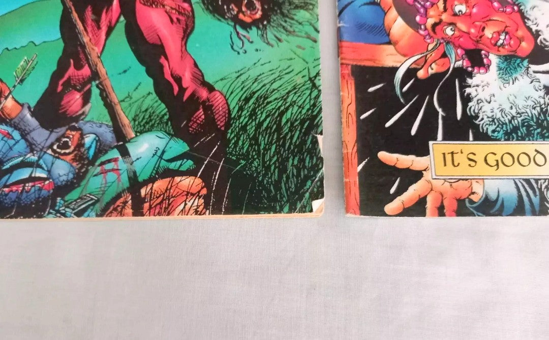 Slaine the Berserker #20 and 26 QC Comics