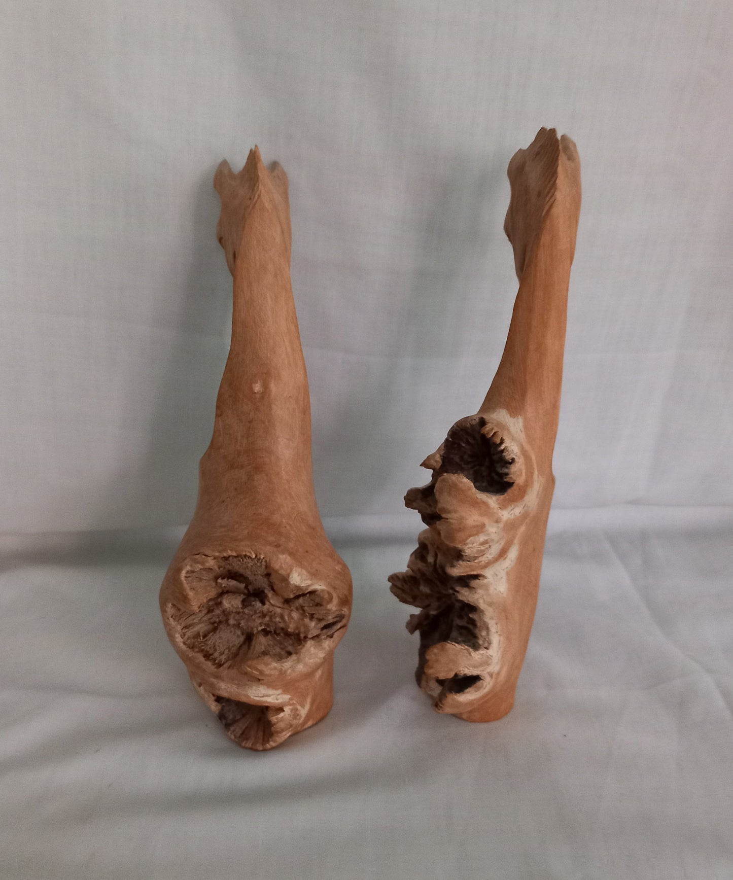Pair of hand carved rustic wooden root horse bust statues