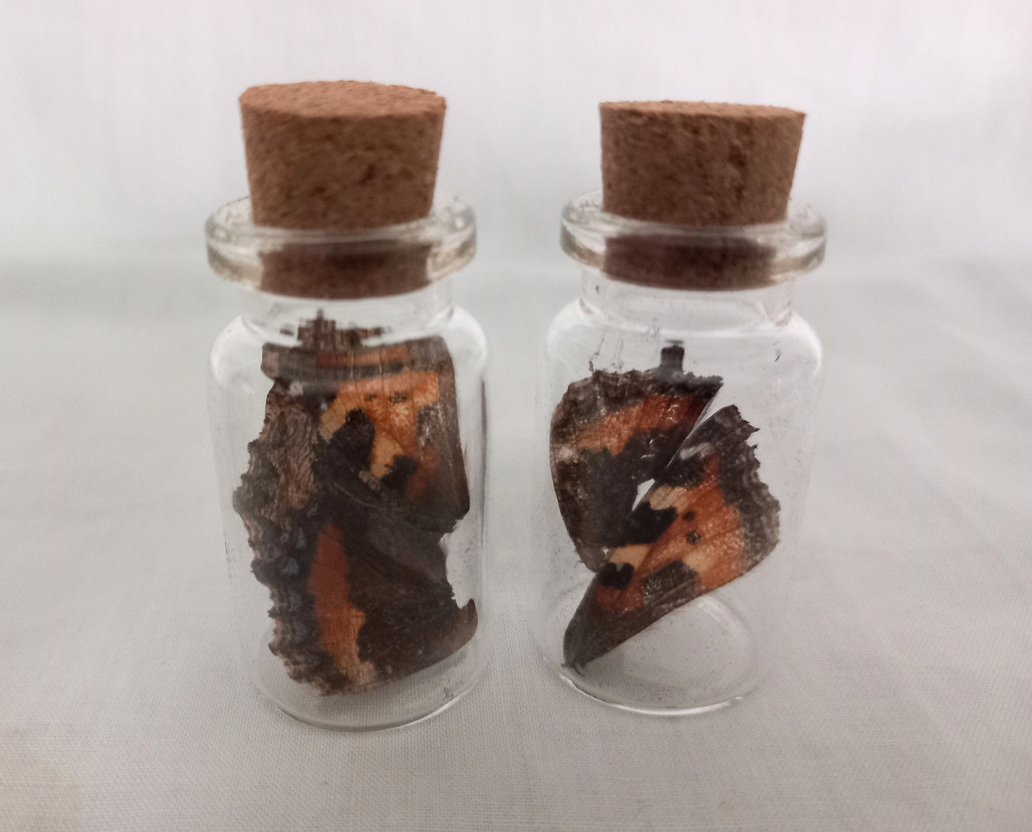 Miniature Butterfly Wing Curious Bottles