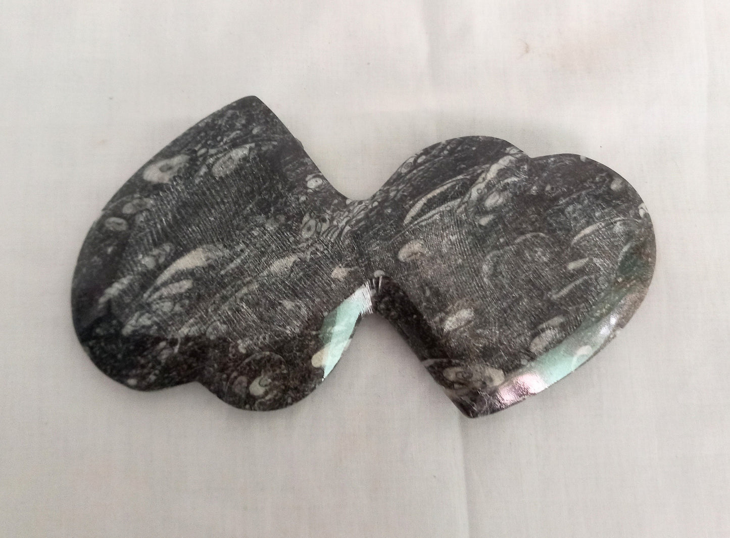 Double Heart Orthoceras & Goniatite Fossil Marble Bowl