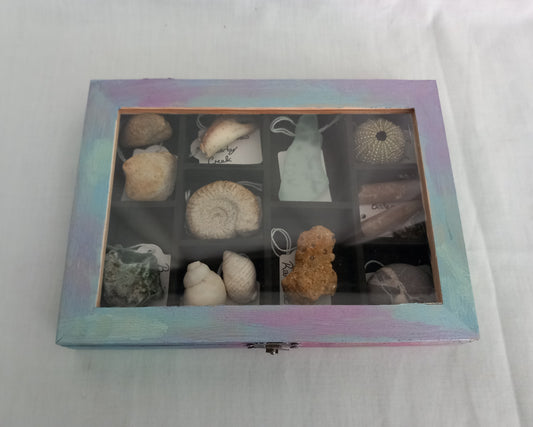 OOAK Collectors Treasure Box Of UK Fossils & Beachcombing & Mudlarking Finds