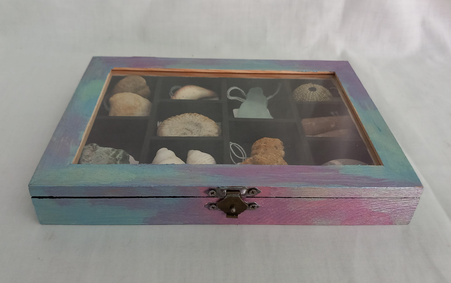OOAK Collectors Treasure Box Of UK Fossils & Beachcombing & Mudlarking Finds