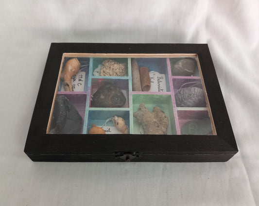 OOAK Collectors Treasure Box Of UK Fossils & Beachcombing & Mudlarking Finds