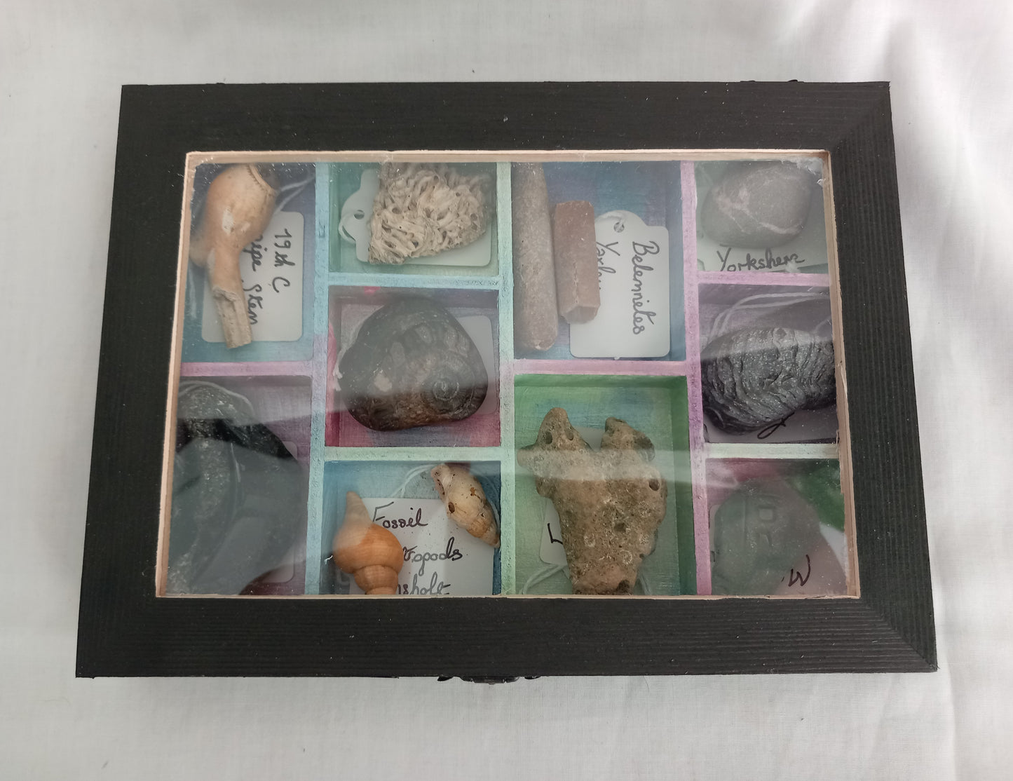 OOAK Collectors Treasure Box Of UK Fossils & Beachcombing & Mudlarking Finds