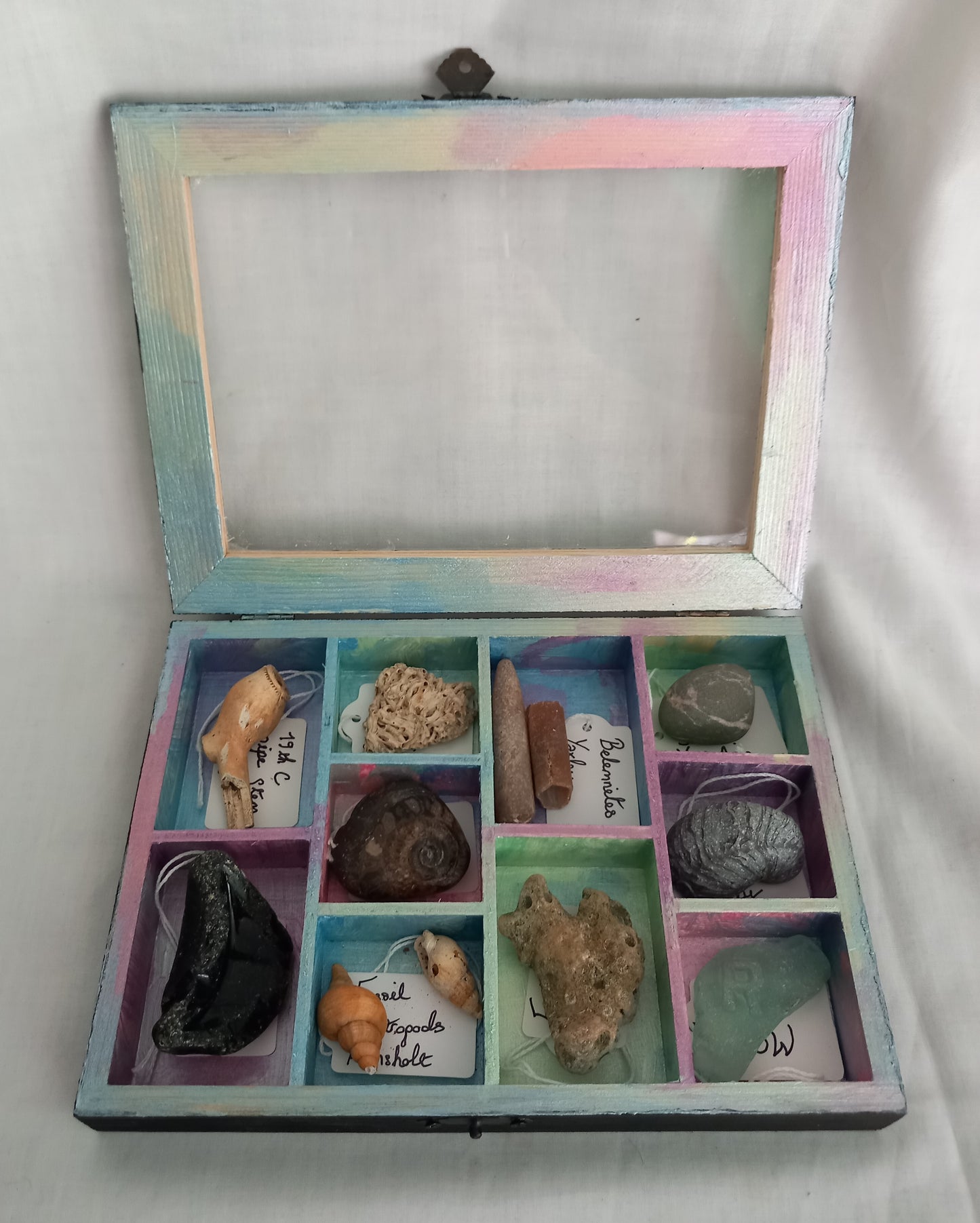 OOAK Collectors Treasure Box Of UK Fossils & Beachcombing & Mudlarking Finds