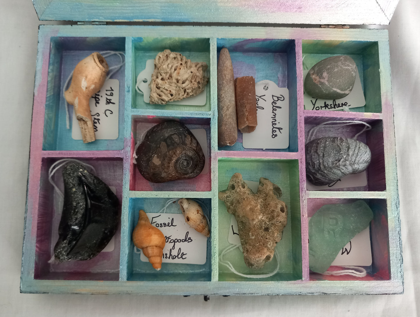 OOAK Collectors Treasure Box Of UK Fossils & Beachcombing & Mudlarking Finds