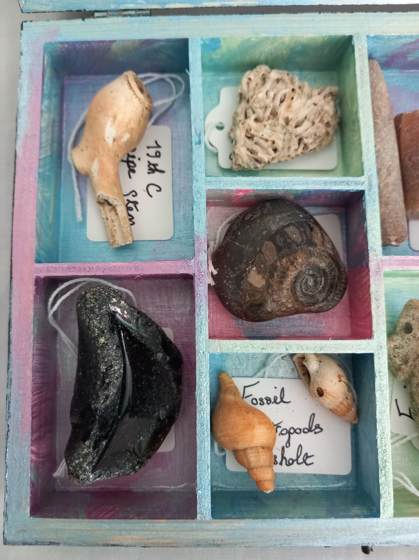OOAK Collectors Treasure Box Of UK Fossils & Beachcombing & Mudlarking Finds