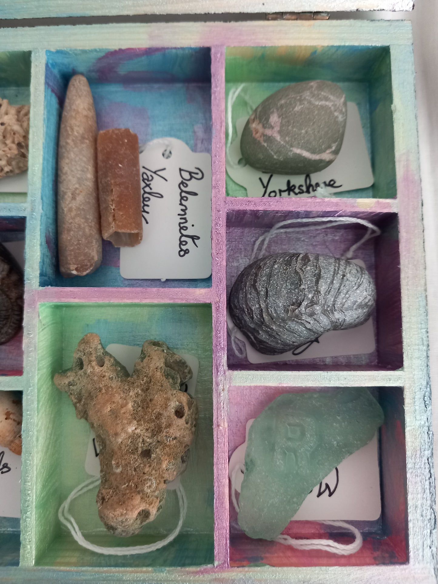 OOAK Collectors Treasure Box Of UK Fossils & Beachcombing & Mudlarking Finds