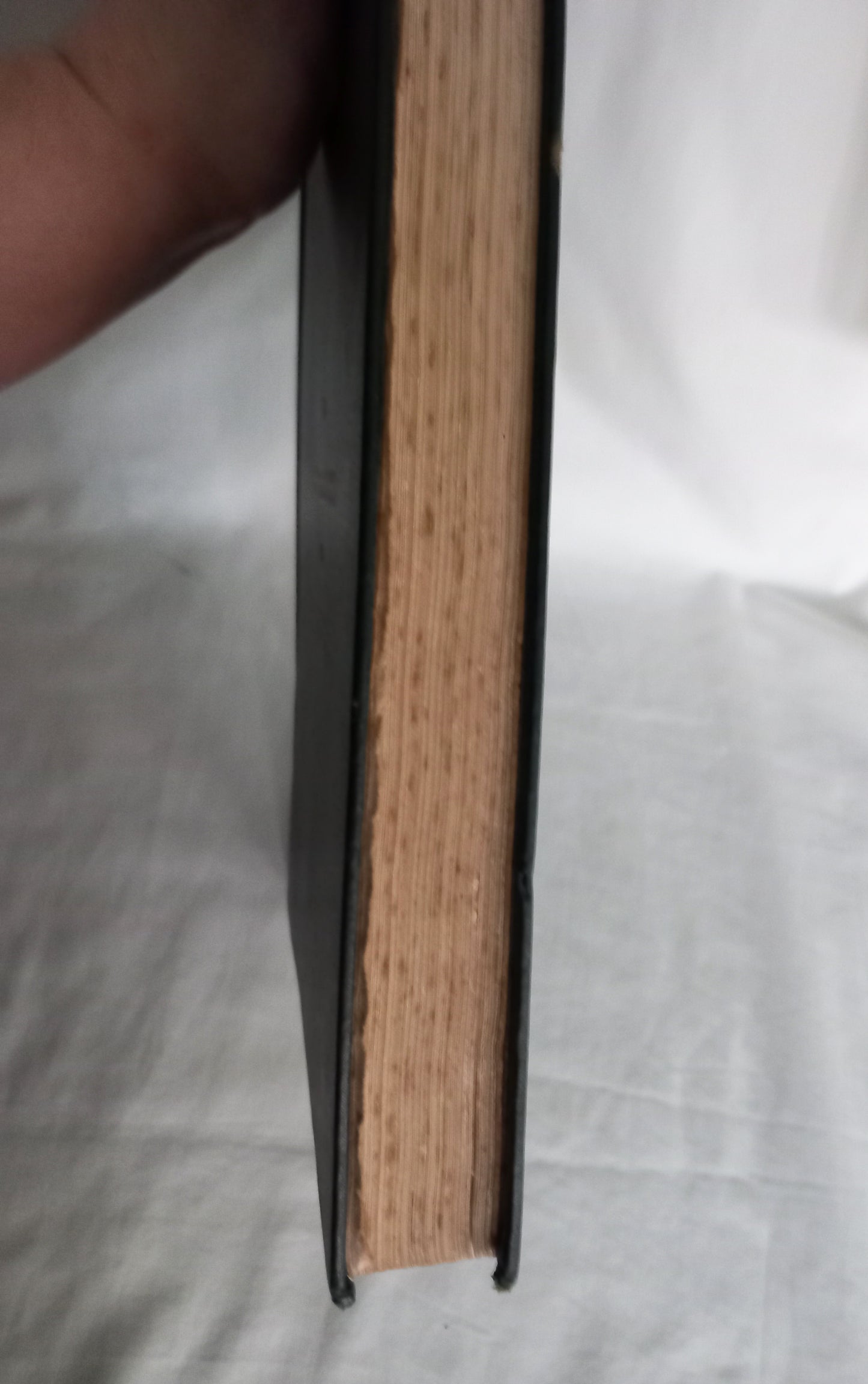 Rare book Earthworks Of Bedfordshire by Beauchamp Wadmore 1920 Illustrated