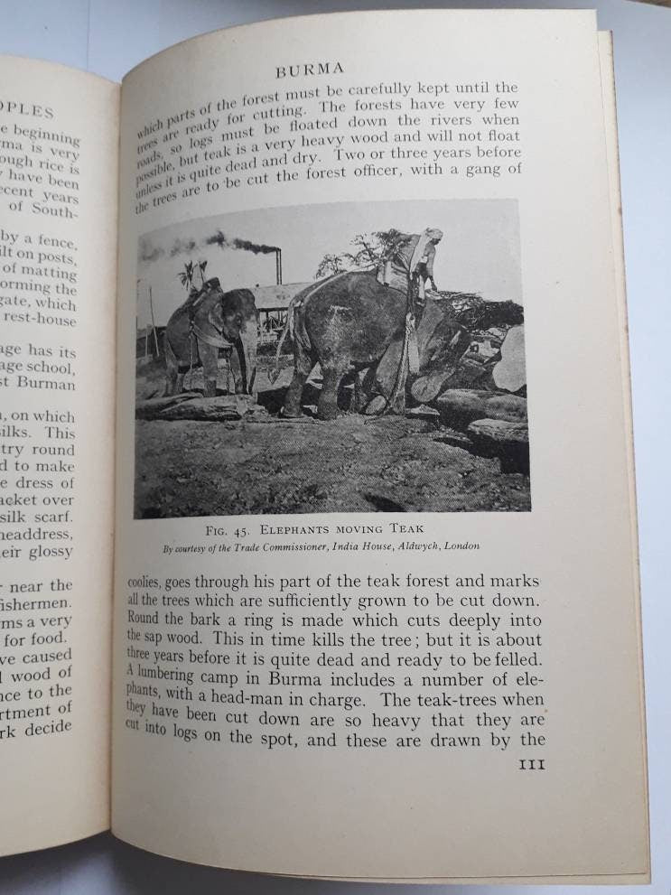 Vintage book The Lands of Eastern Peoples Volume IV 1932