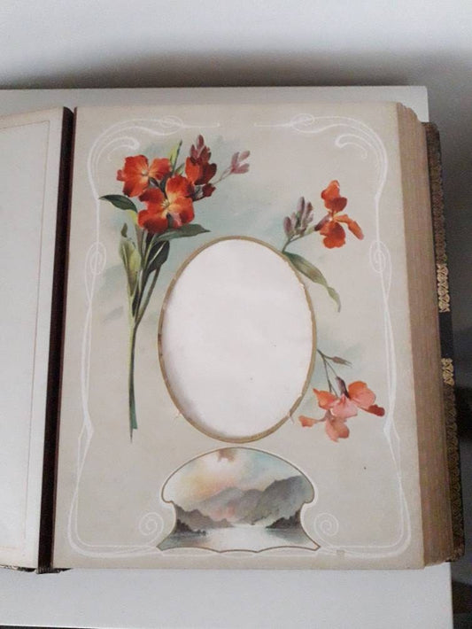 Antique Victorian large leather bound photo album with colour flower illustrated mounts