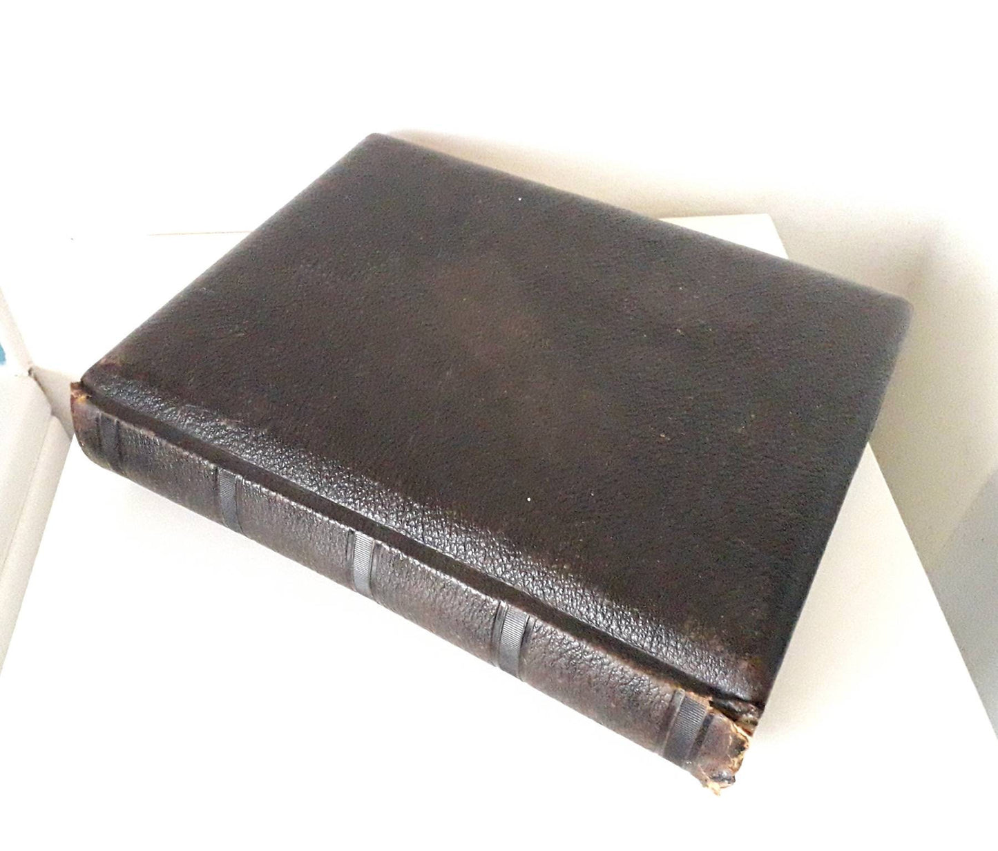 Antique Victorian large leather bound photo album with colour flower illustrated mounts