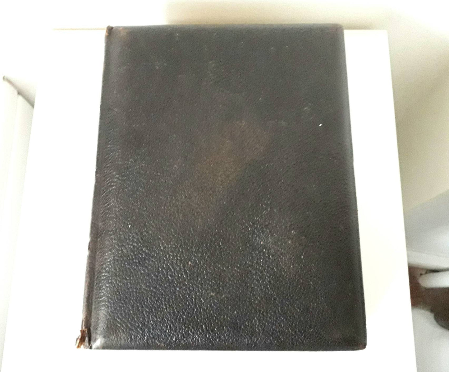 Antique Victorian large leather bound photo album with colour flower illustrated mounts