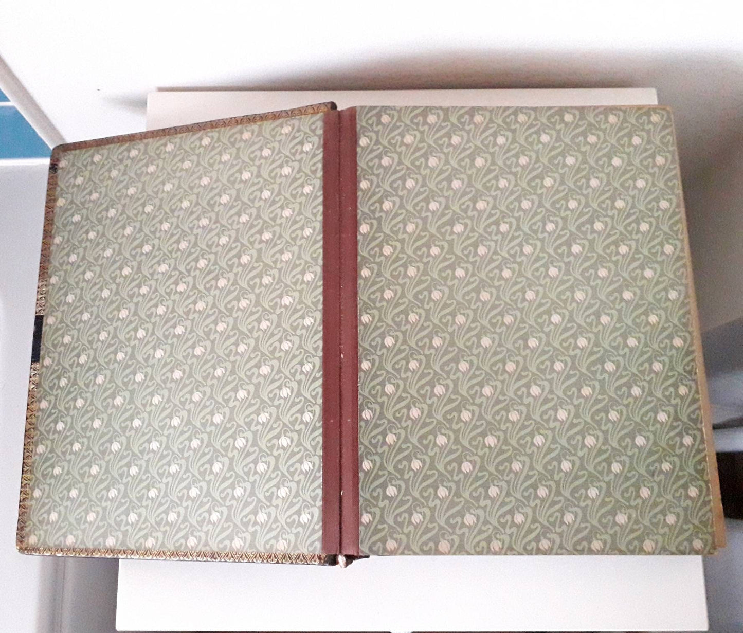 Antique Victorian large leather bound photo album with colour flower illustrated mounts