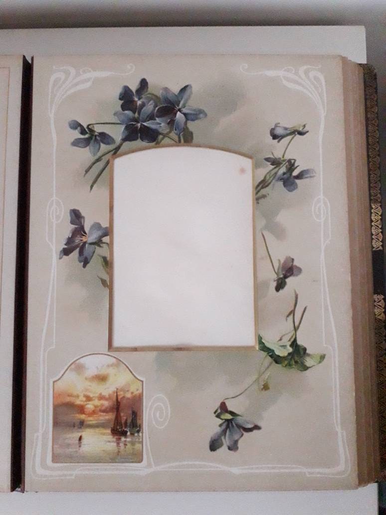 Antique Victorian large leather bound photo album with colour flower illustrated mounts