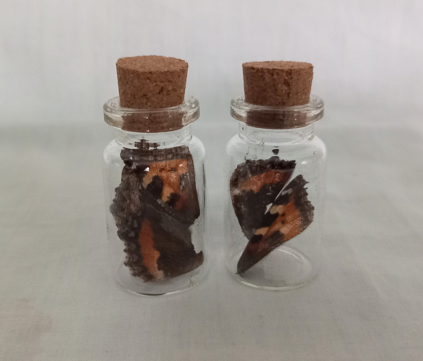 Miniature Butterfly Wing Curious Bottles