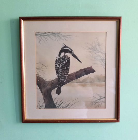 Watercolour painting of a Pied Kingfisher by Susan Jane 1989 in wood frame