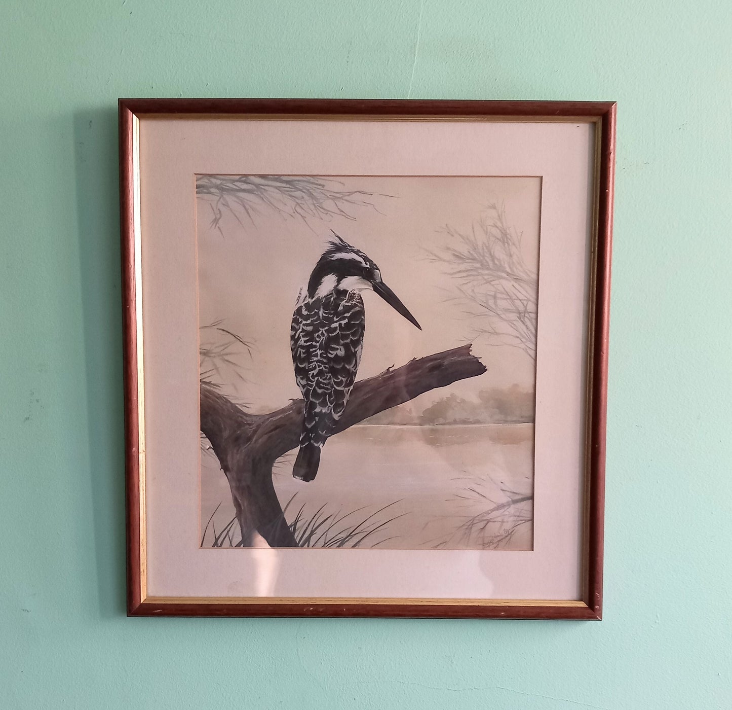 Watercolour painting of a Pied Kingfisher by Susan Jane 1989 in wood frame