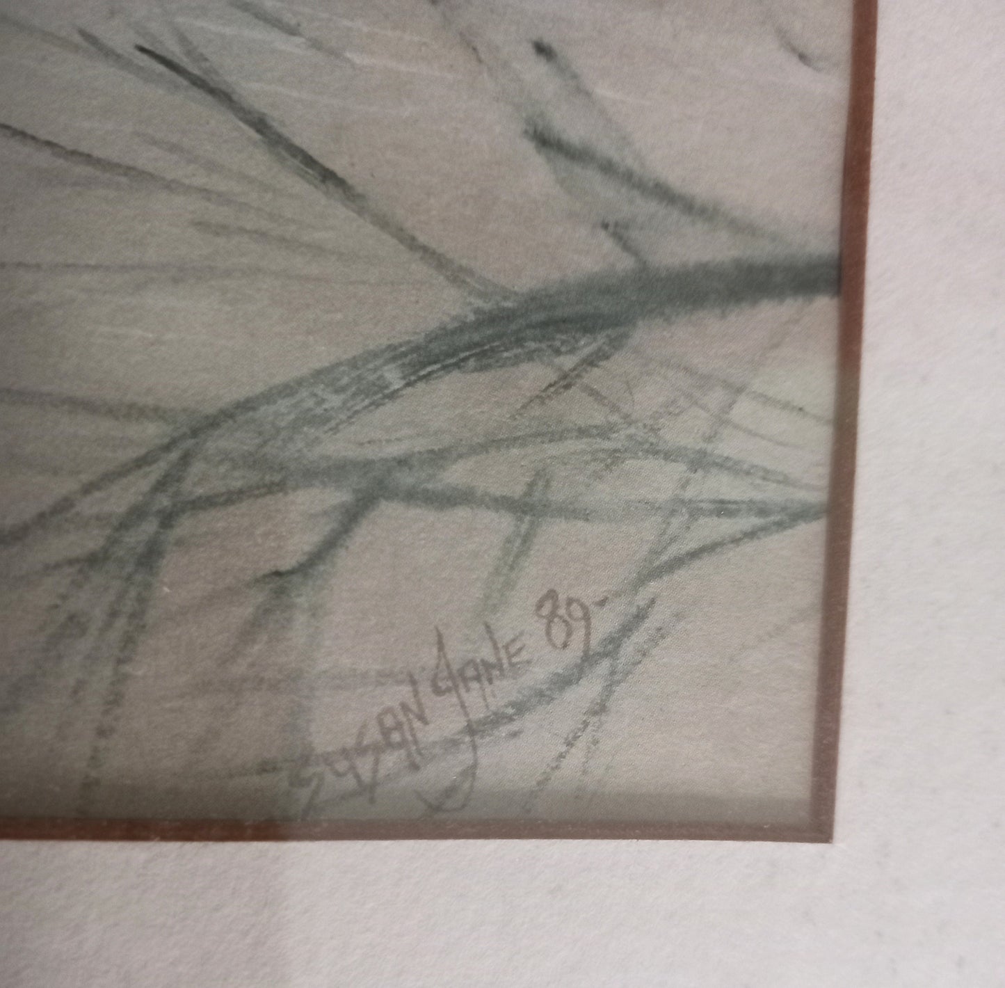 Watercolour painting of a Pied Kingfisher by Susan Jane 1989 in wood frame