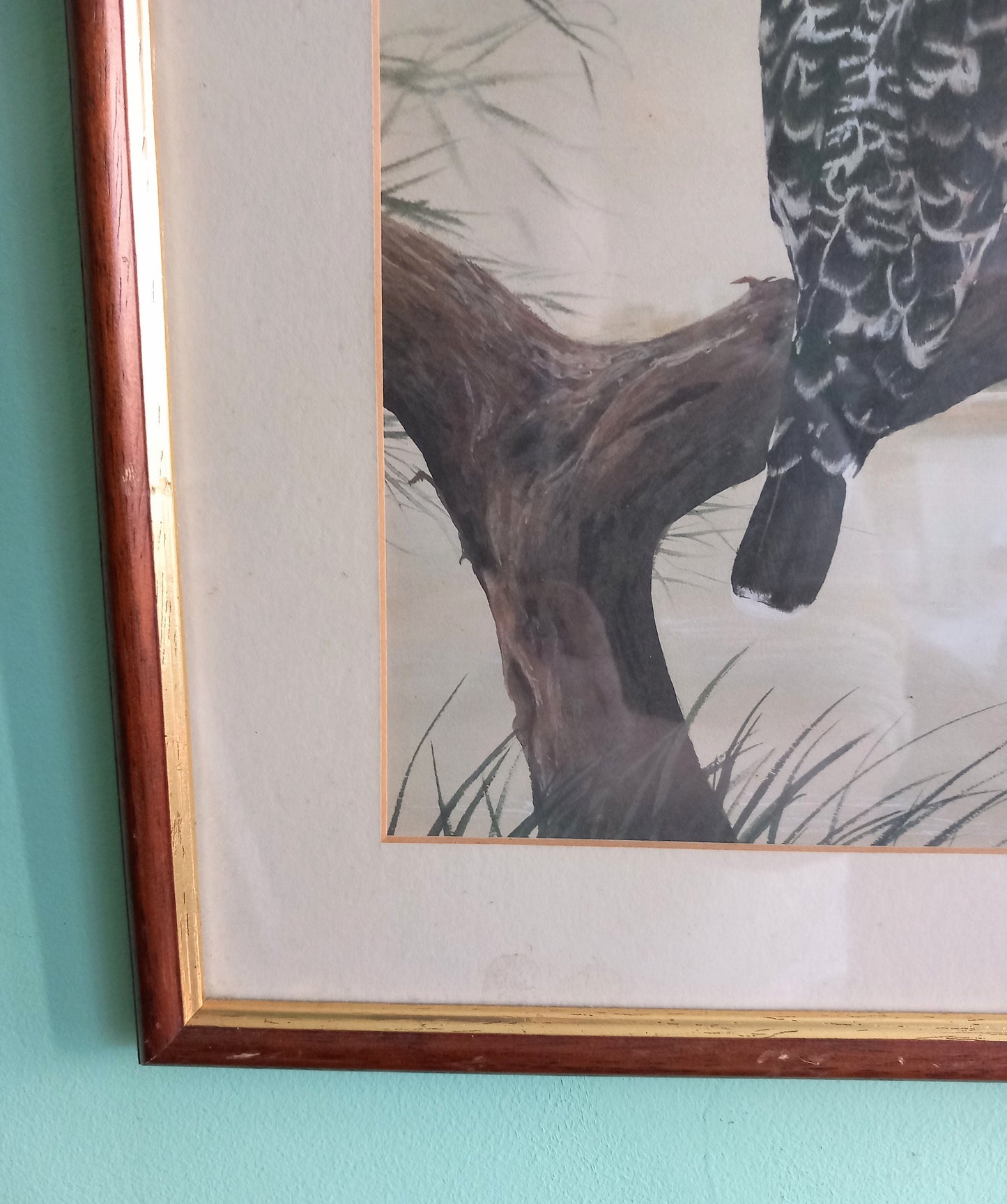 Watercolour painting of a Pied Kingfisher by Susan Jane 1989 in wood frame