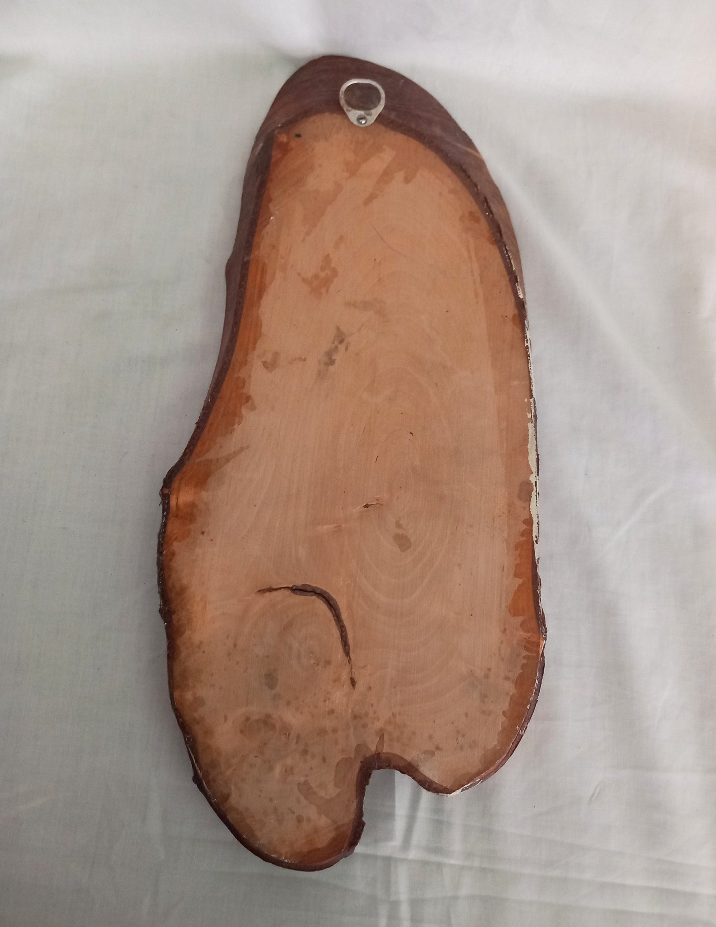 Hand made Tree Trunk Slice Carved Wood Yorkshire Terrier Dog Wall Art