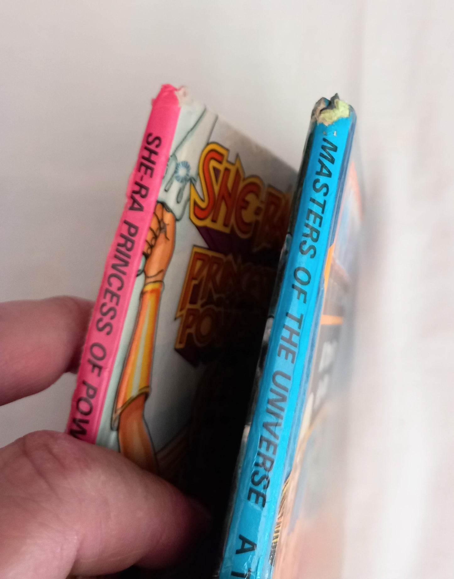 Bundle of 1980s Ladybird books including Puddle Lane, Thomas The Tank Engine, She Ra and He Man