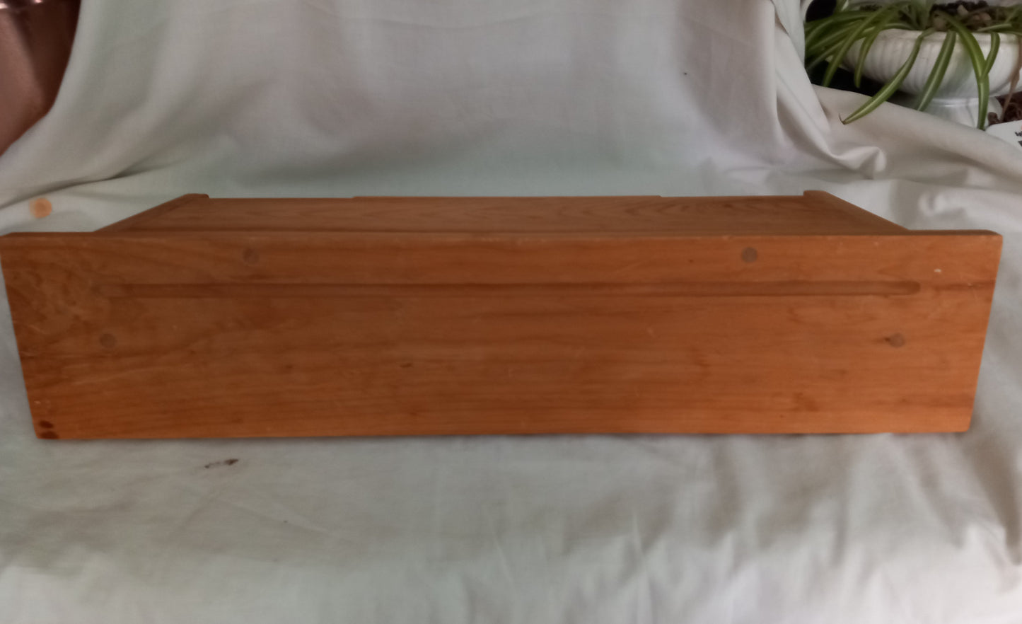 Hand made solid wood train design shelf with hooks