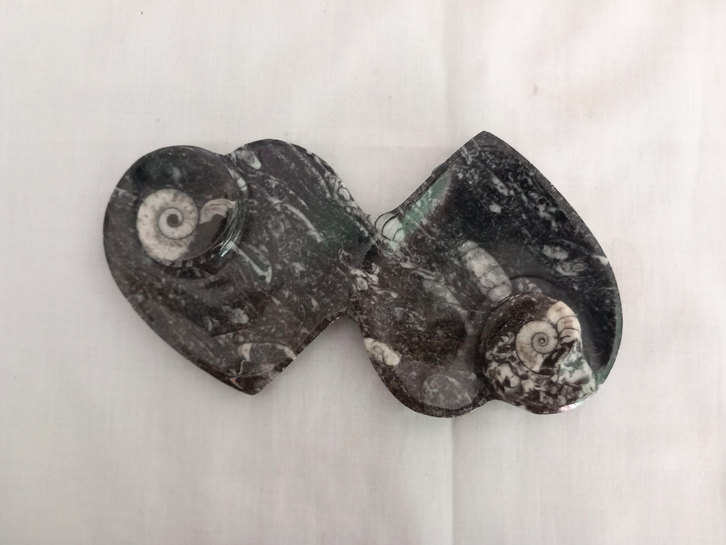Double Heart Orthoceras & Goniatite Fossil Marble Bowl